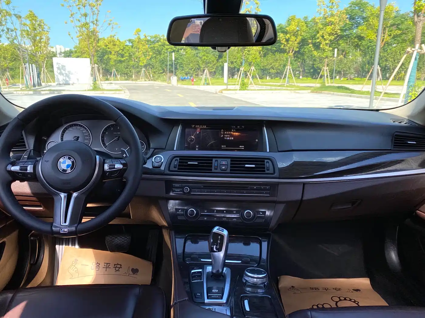 BMW 5 Series 2014 525Li Luxury Design Package фото 11