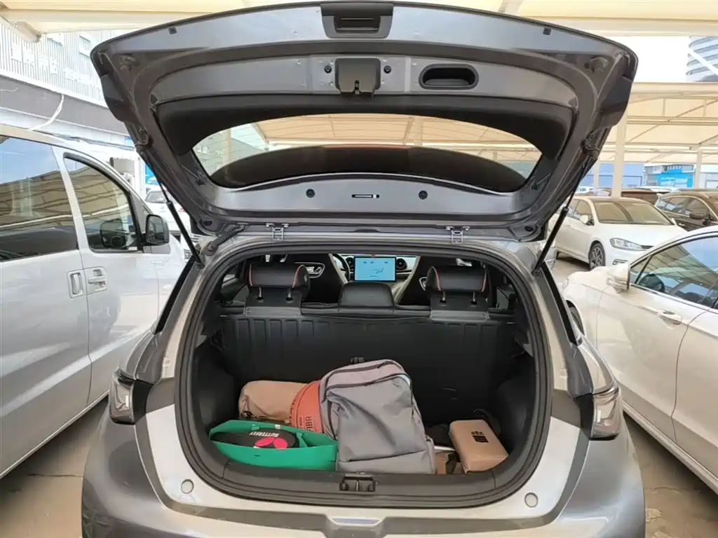BYD Dolphin 2021 Model 405km Fashion Edition фото 19