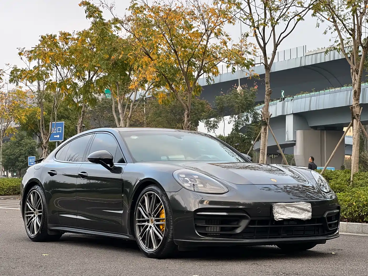 Porsche Panamera 2020 Panamera 10th Anniversary Edition 2.9T фото 3