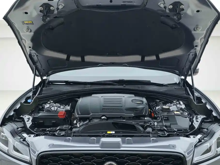Jaguar F-PACE 2024 2024 P250 R-Dynamic SE
