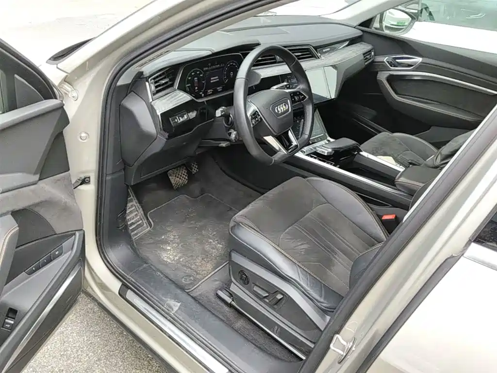 Audi e-tron 2021 50 quattro Exclusive Selection фото 23
