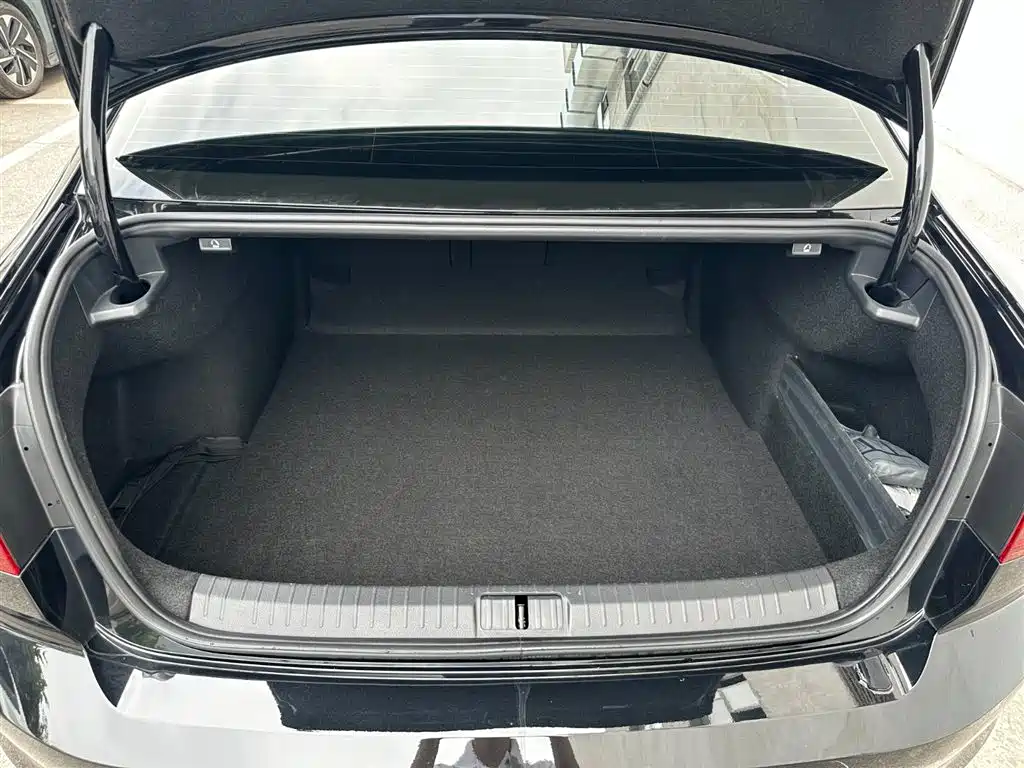 Volkswagen Magotan 2025 Popular Edition 330TSI DSG Luxury фото 33