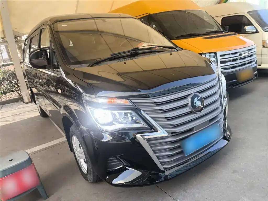 DONGFENG POPULAR LINGZHI