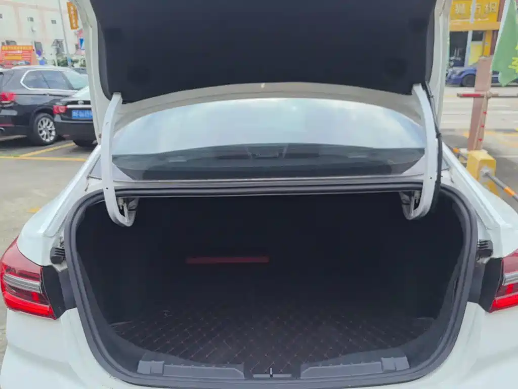 Ford Escort 2022 2021 1.5L Automatic Platinum Edition