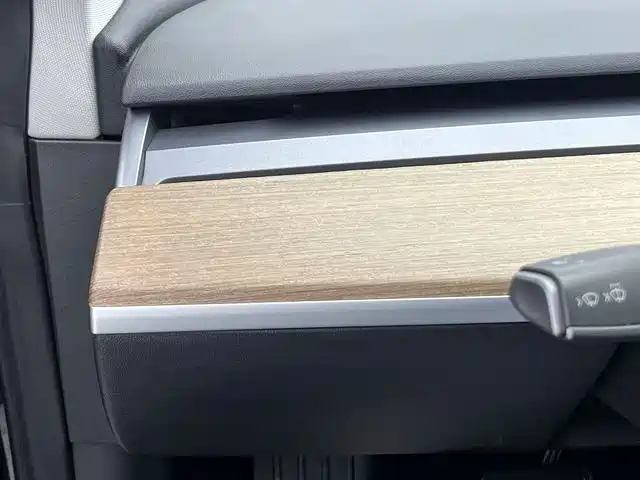 TESLA MODEL 3 (IMPORTED)