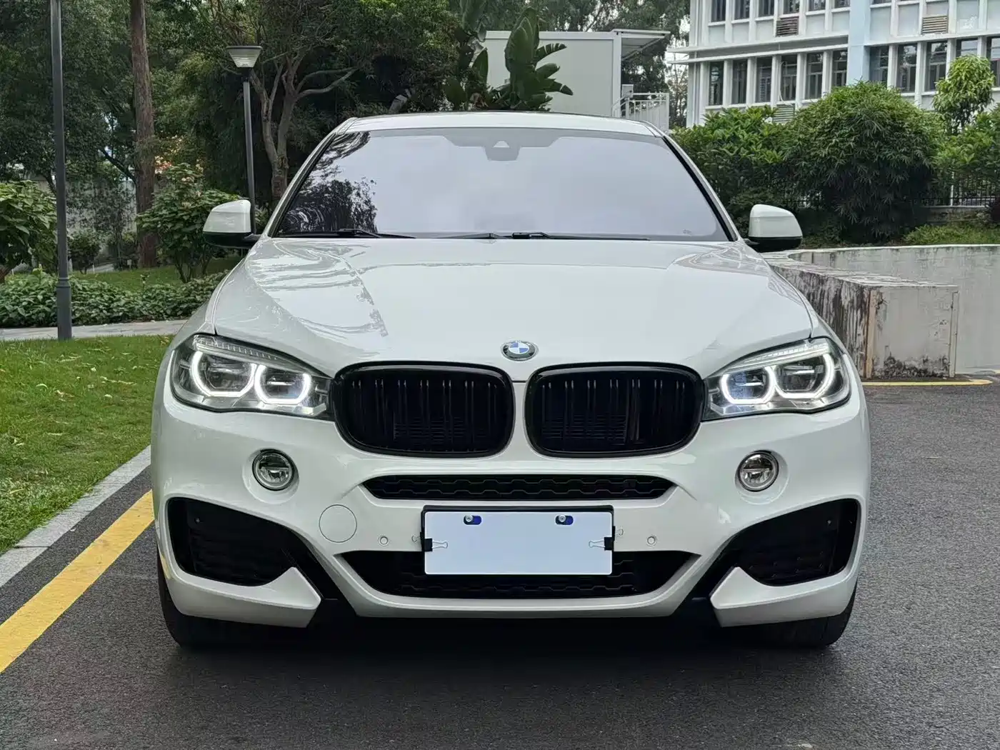 BMW X6 2019 xDrive35i M Sport Package фото 3
