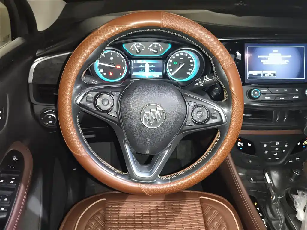 Buick Envision Plus 2016 20T 2WD Elite фото 3