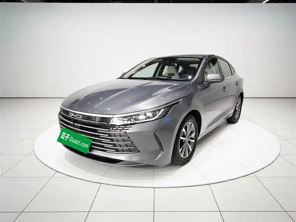BYD Destroyer 05 2023 Champion Edition DM-i 55KM Luxury фото 2