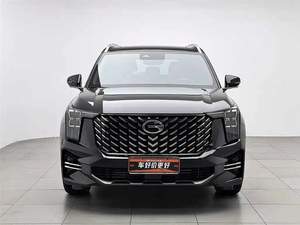 GAC Trumpchi Trumpchi GS8 2025 Pilot Series 2.0TGDI 2WD Luxury Edition 5-seater фото 3