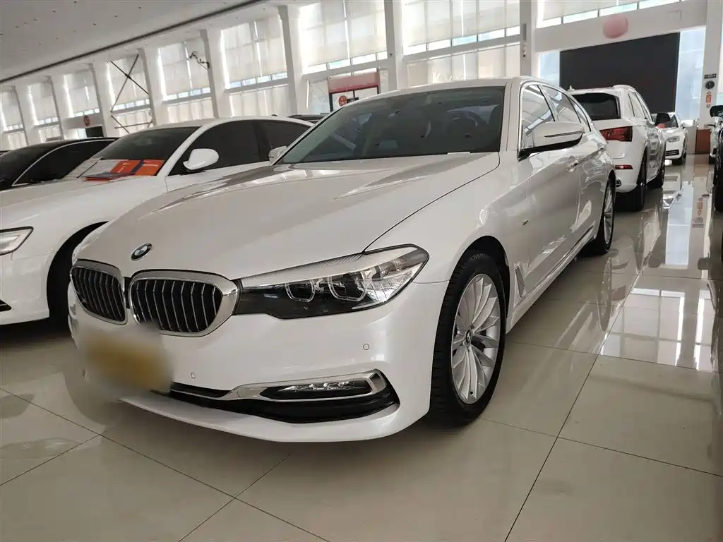 BMW 5 Series 2018 530Li Leading Luxury Package