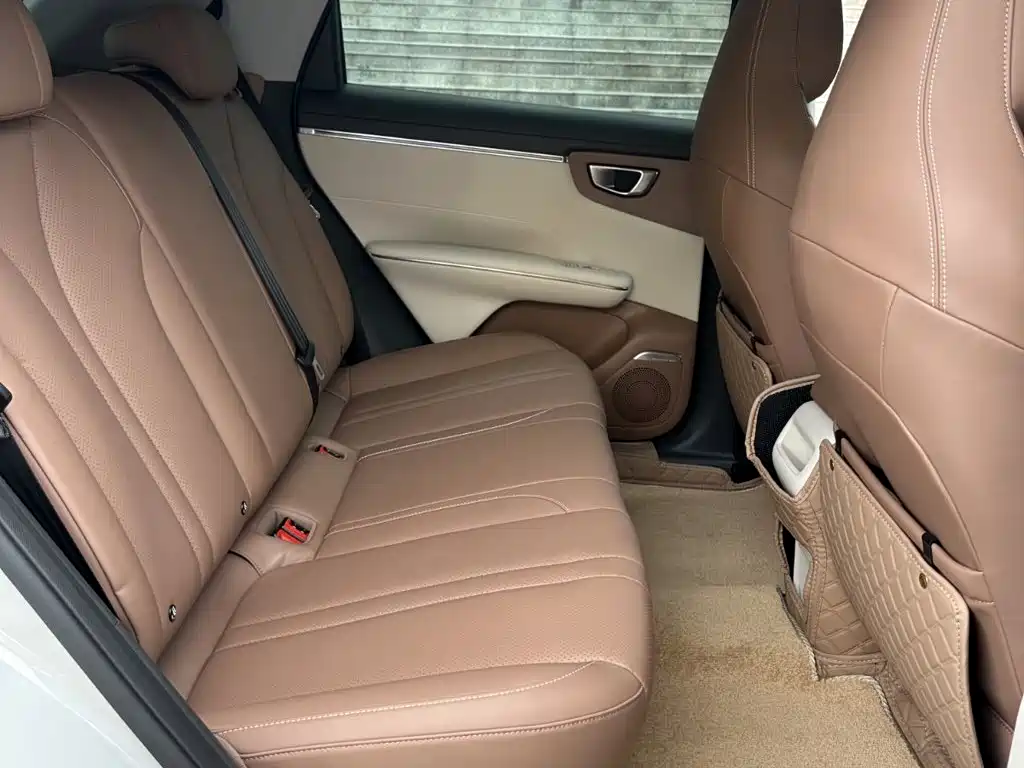 Wuling Motors Wuling Bingo S 2026 2025 Model 430km Premium Edition