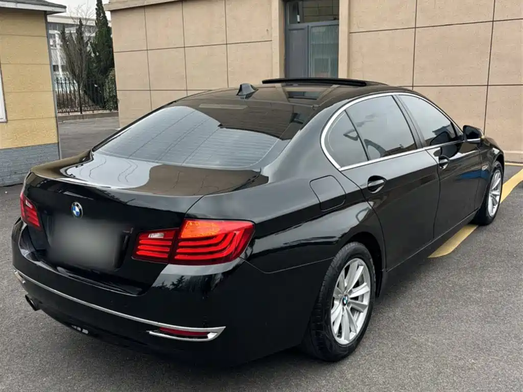 BMW 5 Series 2014 520Li Elegance фото 4