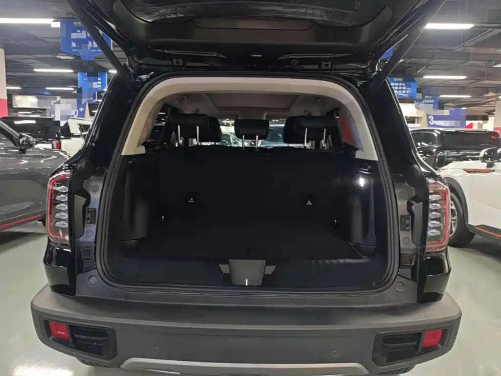 Haval Big Dog 2025 2024 1.5T DCT Border Collie Edition