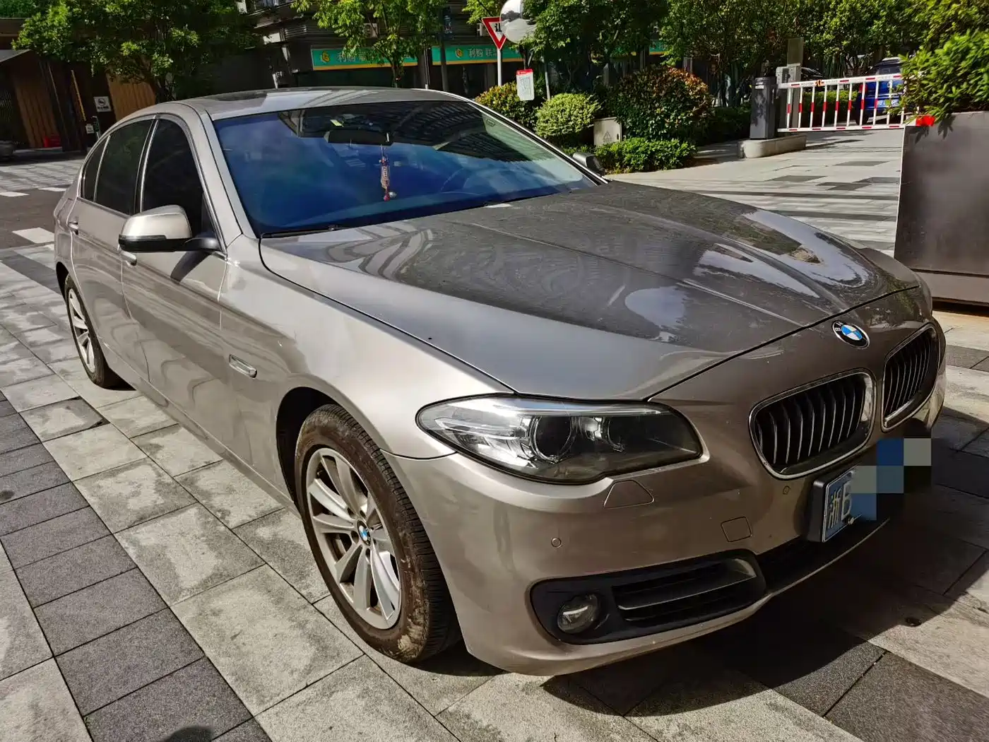 BMW 5 Series 2014 520Li Elegance фото 3