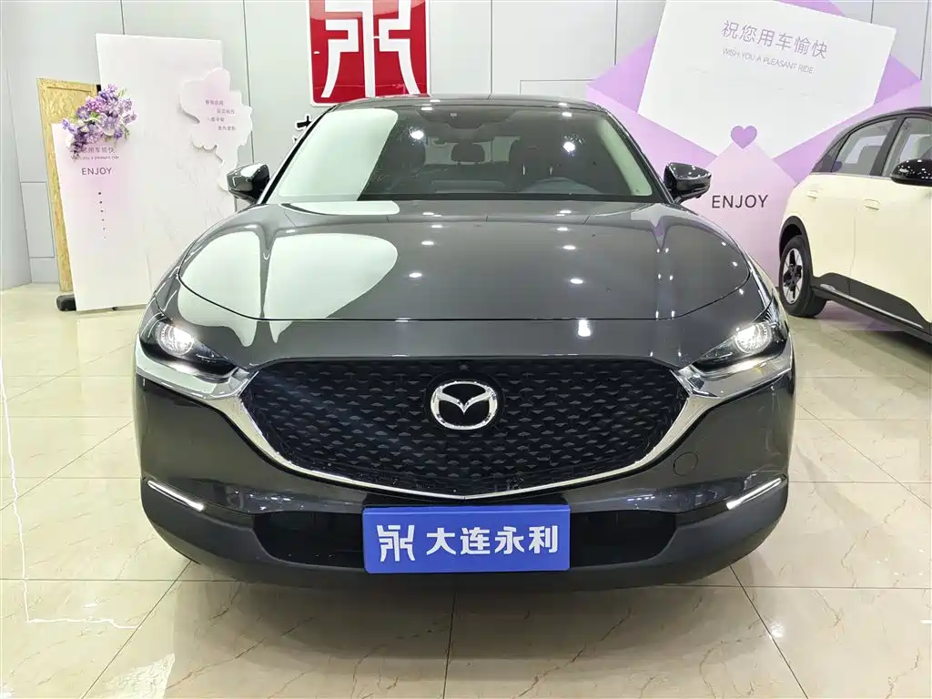  CX 30