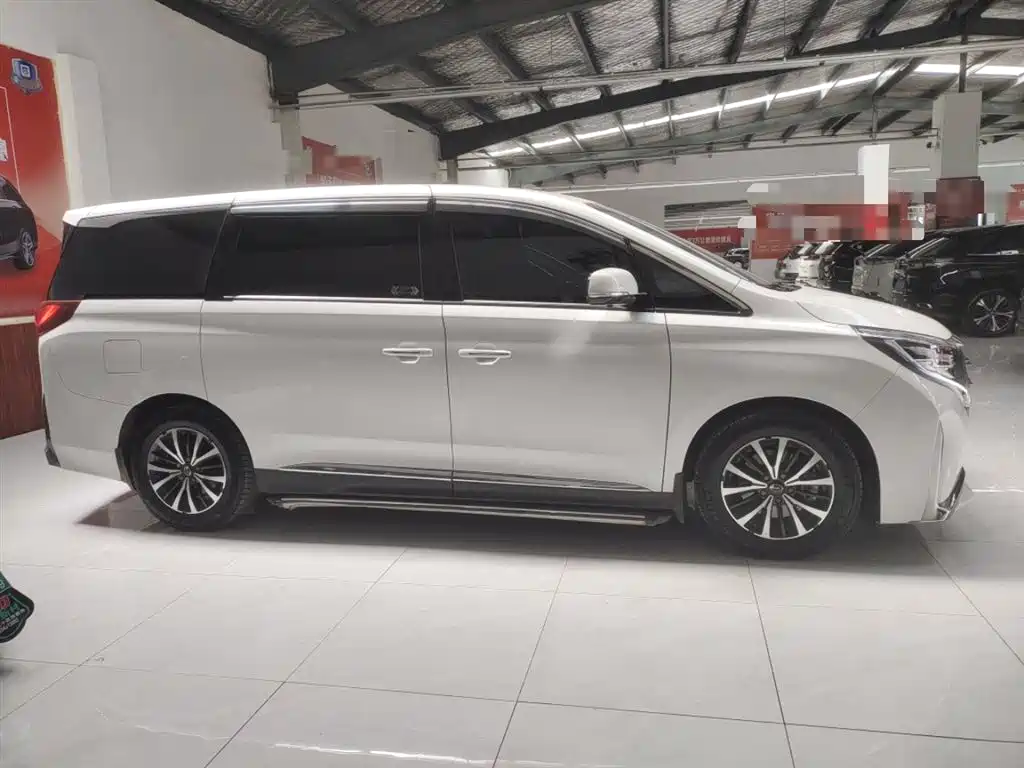 GAC Trumpchi Trumpchi M8 2021 Facelift Leading Series 390T Luxury Edition фото 12