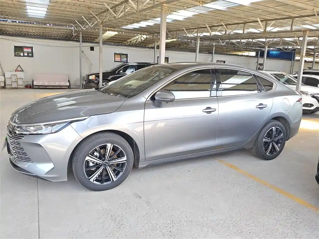 BYD Destroyer 05 2024 Glory Edition DM-i 120KM Luxury фото 25