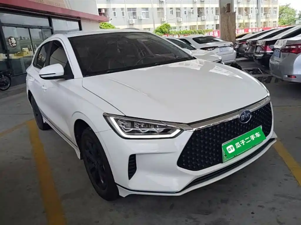 BYD e2 2021 Luxury Edition фото 4