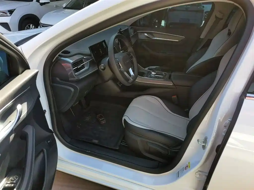 BYD Destroyer 05 2024 Glory Edition DM-i 55KM Luxury фото 15