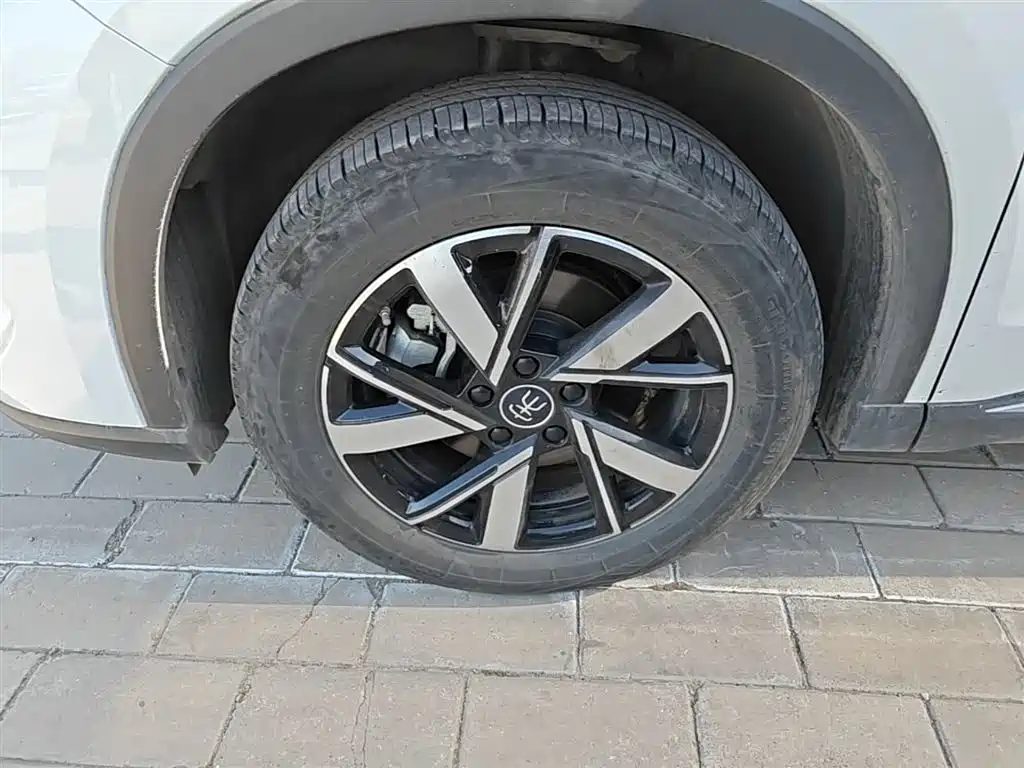BYD Song Pro New Energy 2024 Glory Edition DM-i 71KM Pilot фото 23