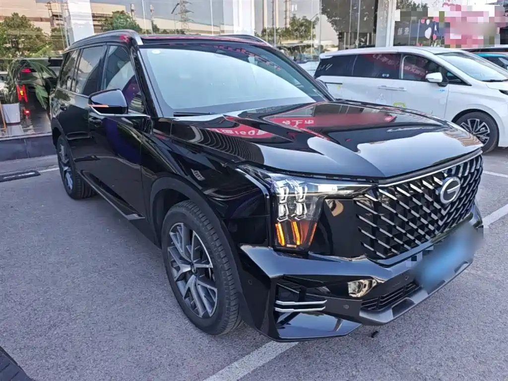 GAC Trumpchi Trumpchi GS8 2022 Pilot Series 2.0TGDI 2WD Premium Edition (7-Seater) фото 4