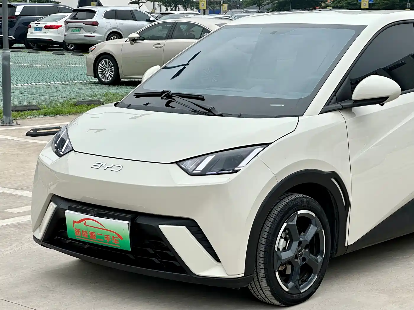 BYD Seagull 2024 Glory Edition 305km Freedom Edition фото 8