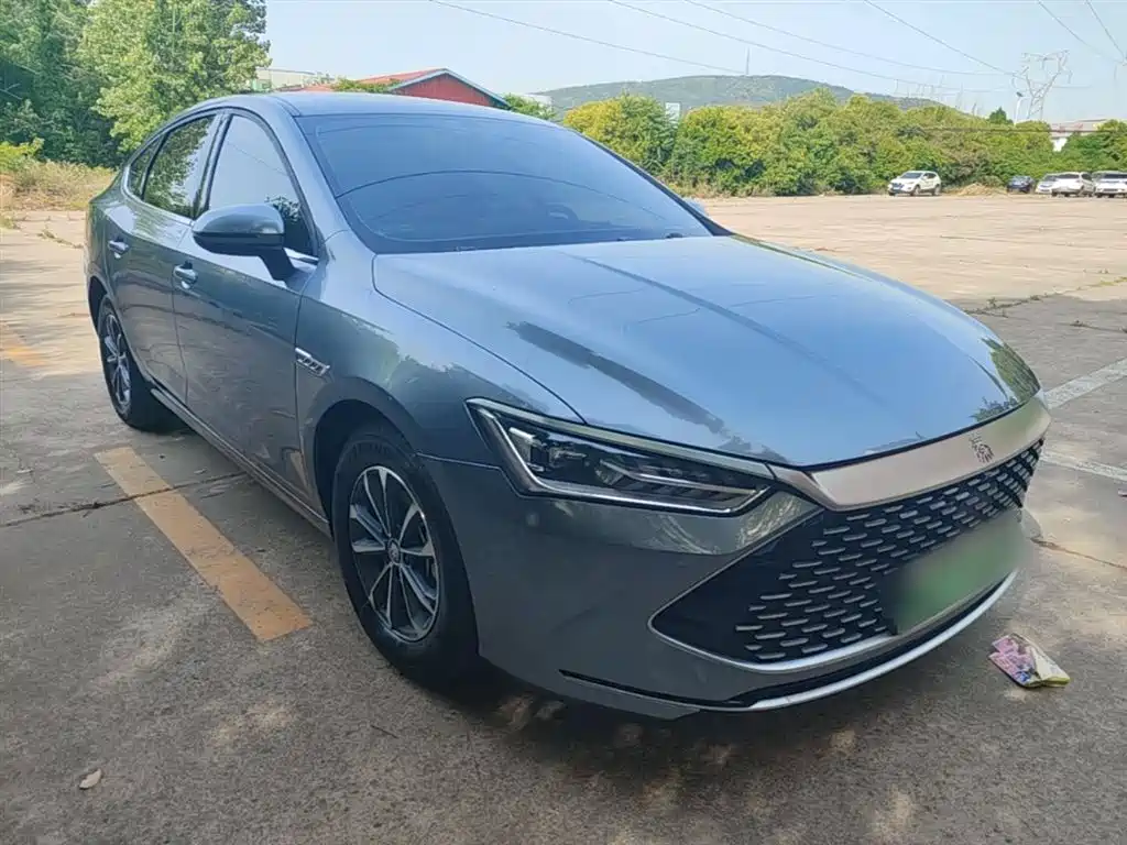 BYD Qin PLUS 2024 Glory Edition DM-i 55KM Leading фото 4