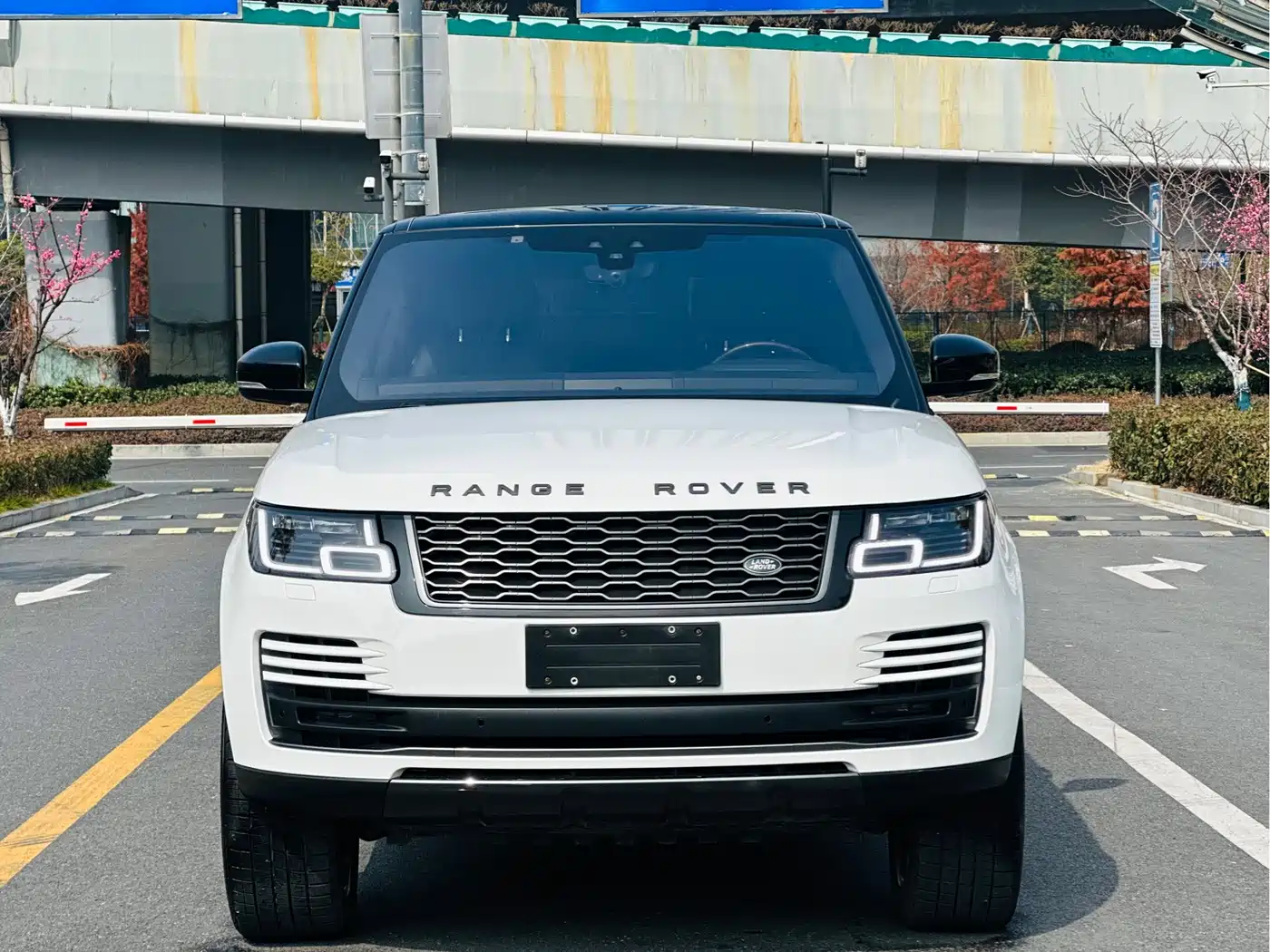 Land Rover Range Rover 2022 3.0 L6 360PS Golden Age Edition фото 2
