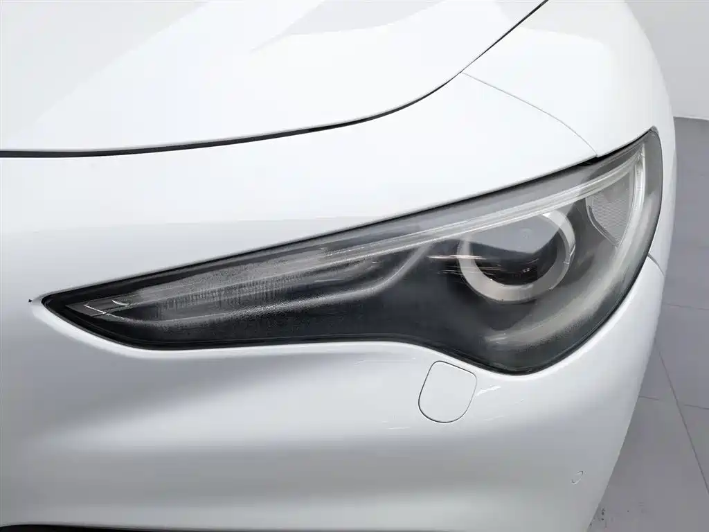Alfa Romeo Stelvio 2017 2.0T 200HP Elite фото 7