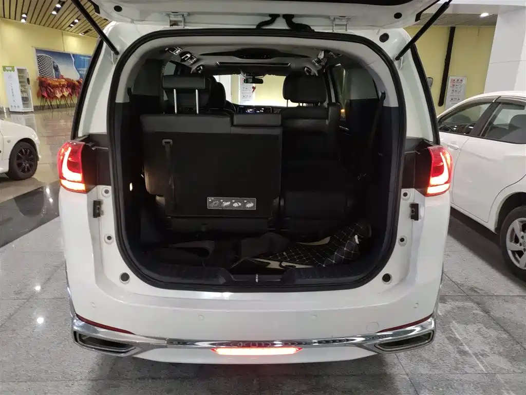 GAC Trumpchi Trumpchi M8 2021 Leading Show Series 390T Premium Edition фото 19