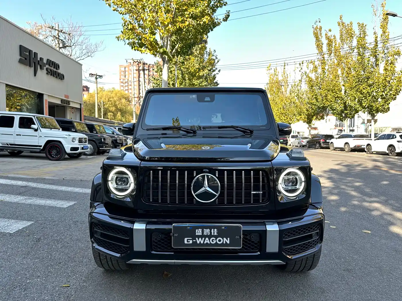 MERCEDES-BENZ G CLASS AMG