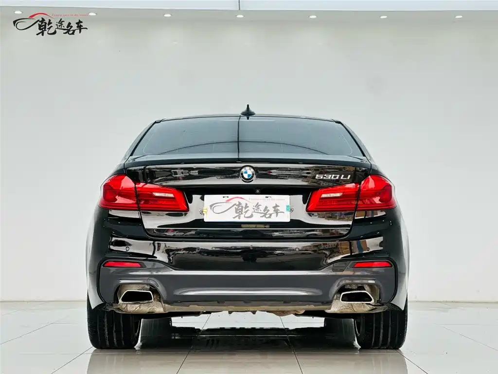 BMW 5 Series 2019 530Li Premium M Sport Package фото 6