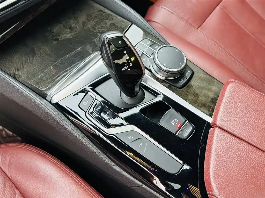 BMW 5 Series 2019 530Li Premium M Sport Package фото 19