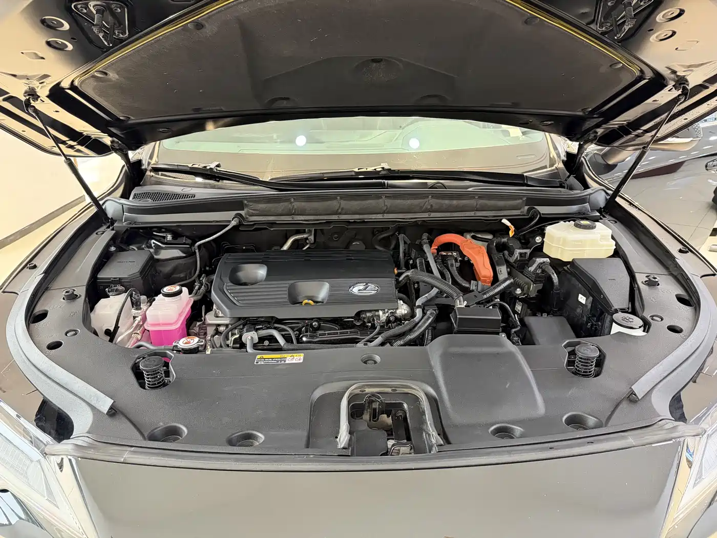 Lexus RX 2023 350h 4WD Pure Edition фото 21