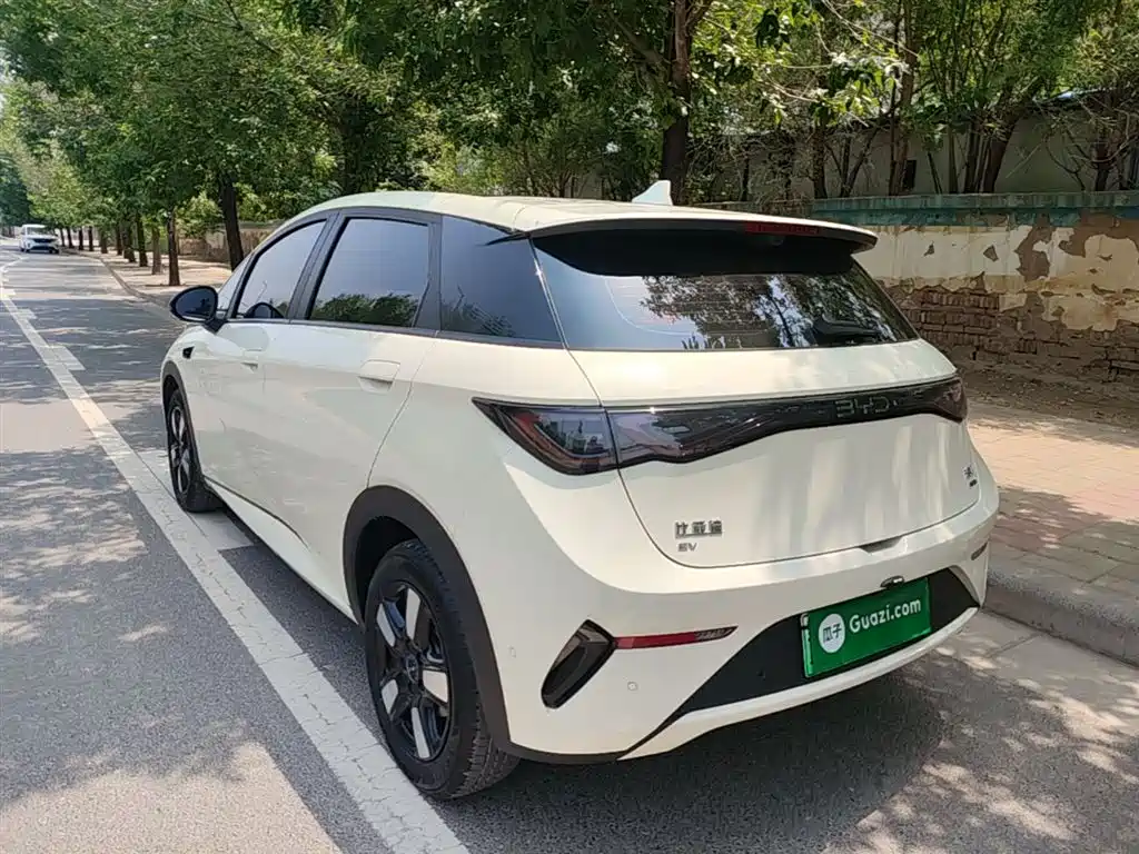 BYD Dolphin 2025 Smart Drive Edition 410km Fashion Version фото 5