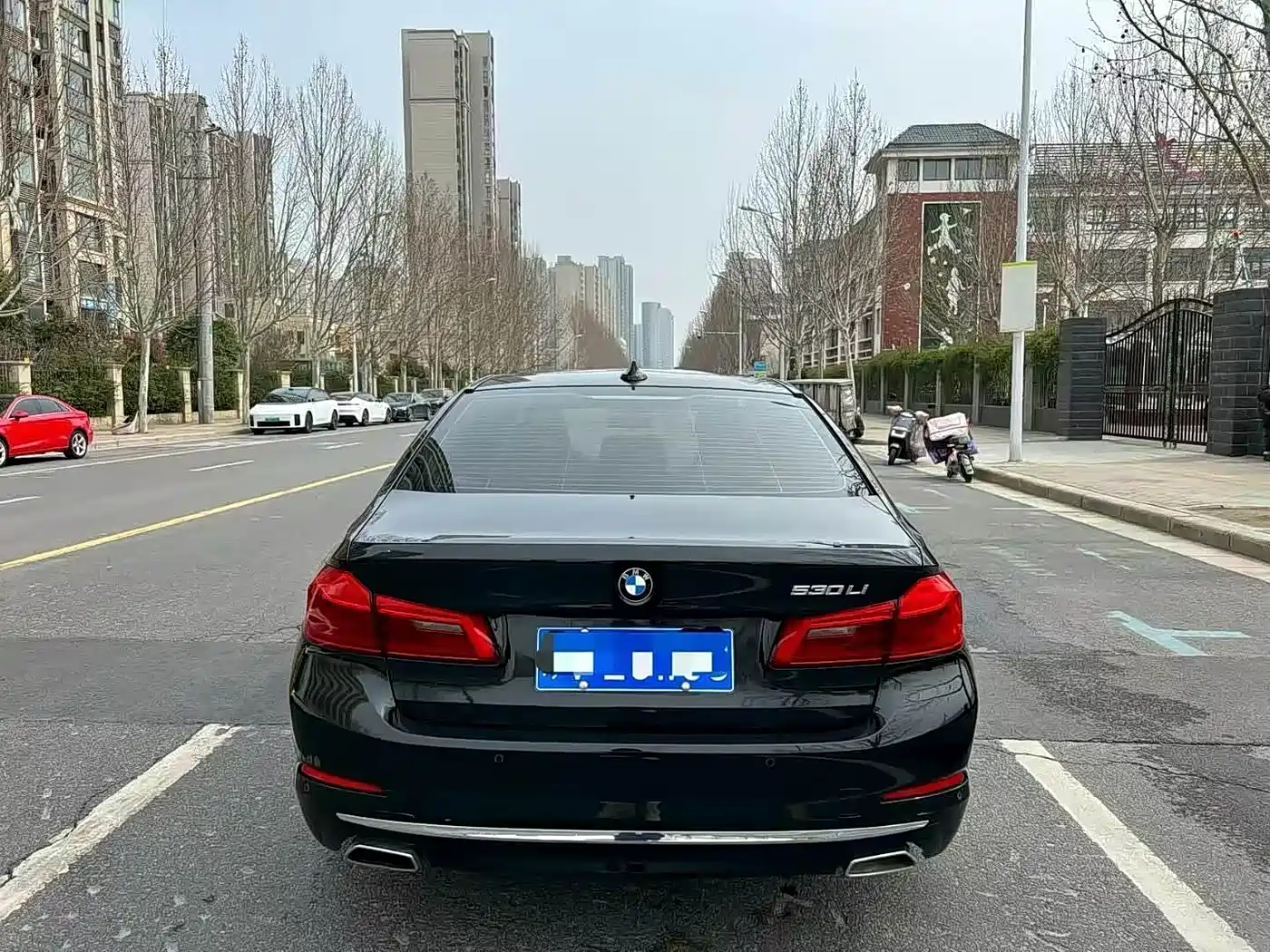 BMW 5 Series 2020 530Li Leading Luxury Package фото 8