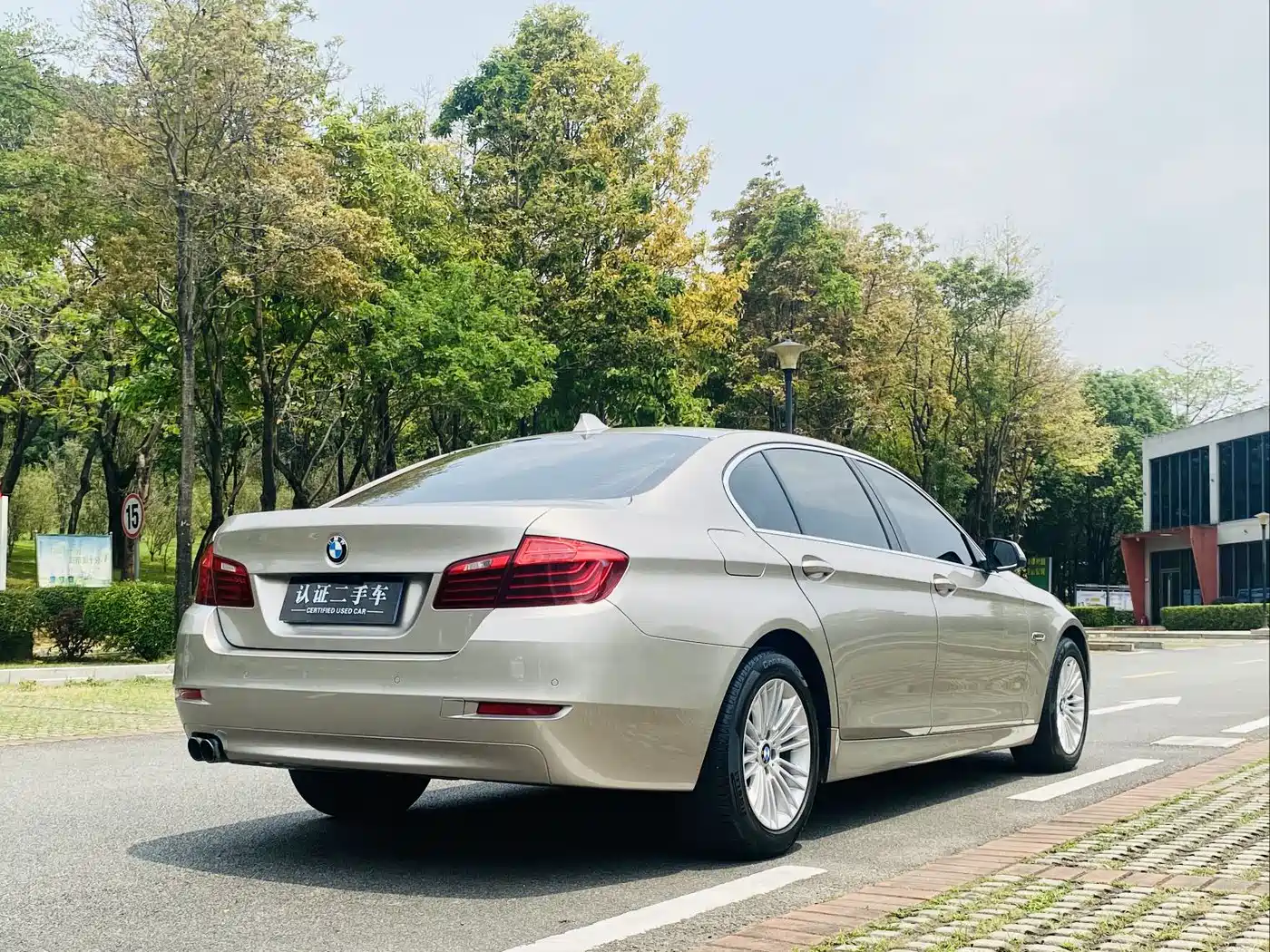 BMW 5 Series 2014 525Li Leading фото 5