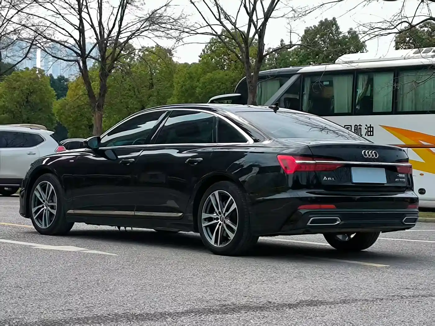 Audi A6L 2021 40 TFSI Luxury Sport фото 10
