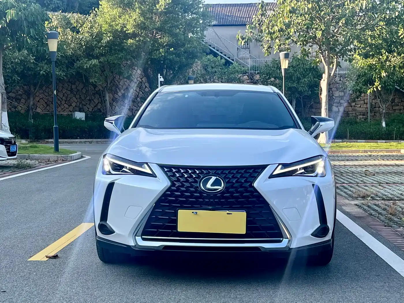Lexus UX 2020 200 Special Edition фото 2