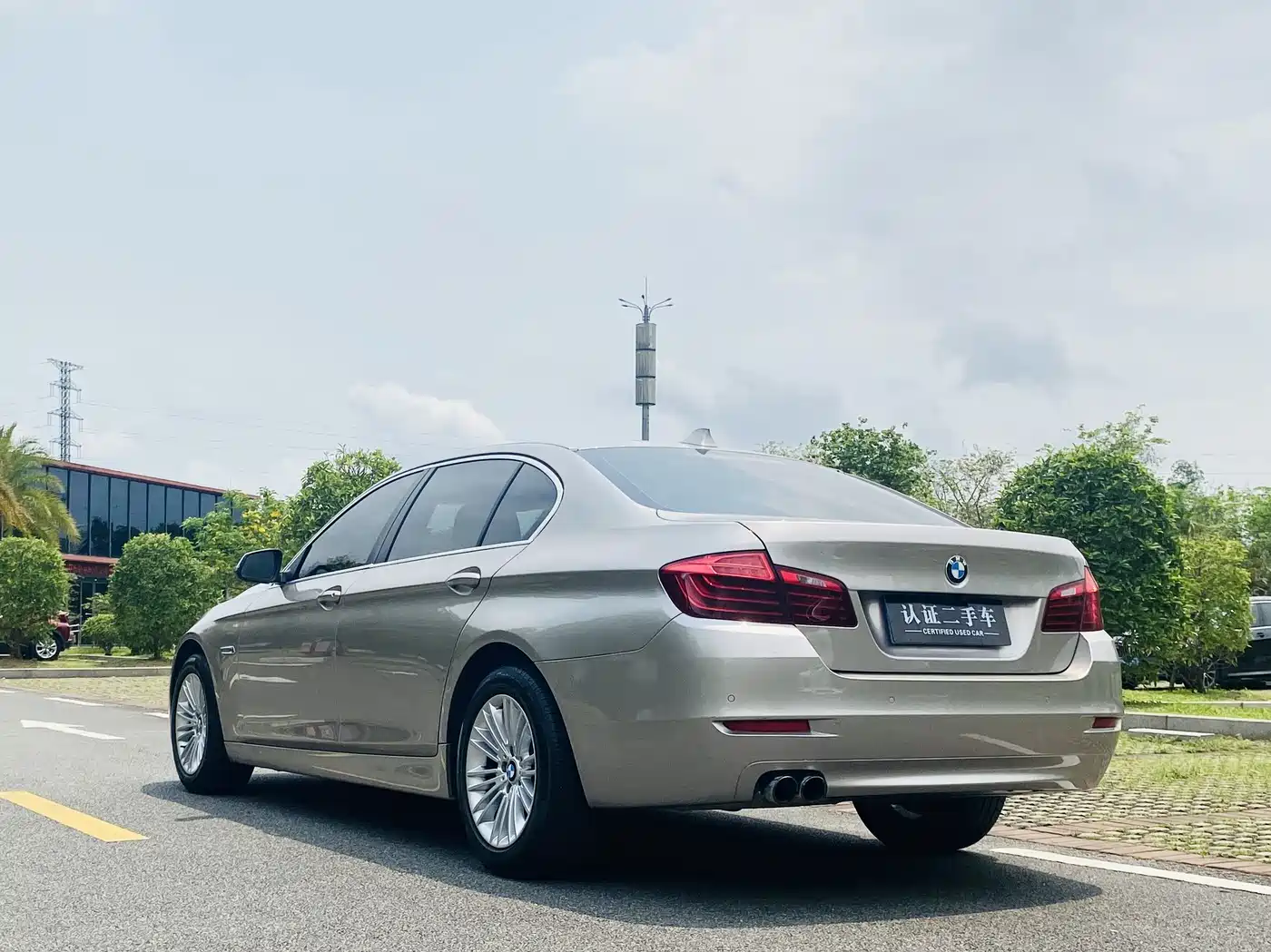 BMW 5 Series 2014 525Li Leading фото 7