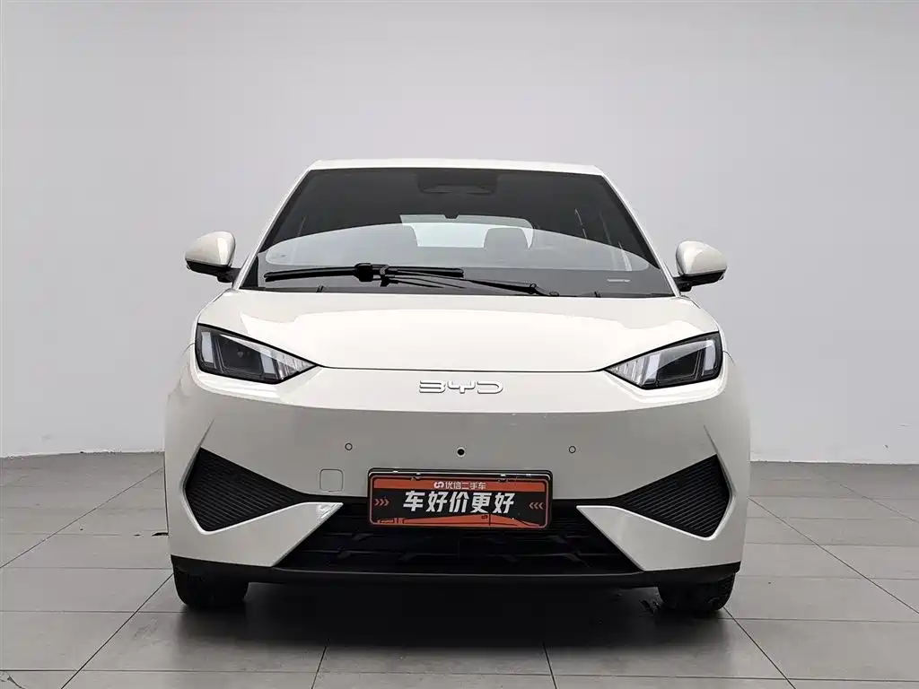 BYD Seagull 2025 Smart Drive Edition 305km Freedom Version фото 3