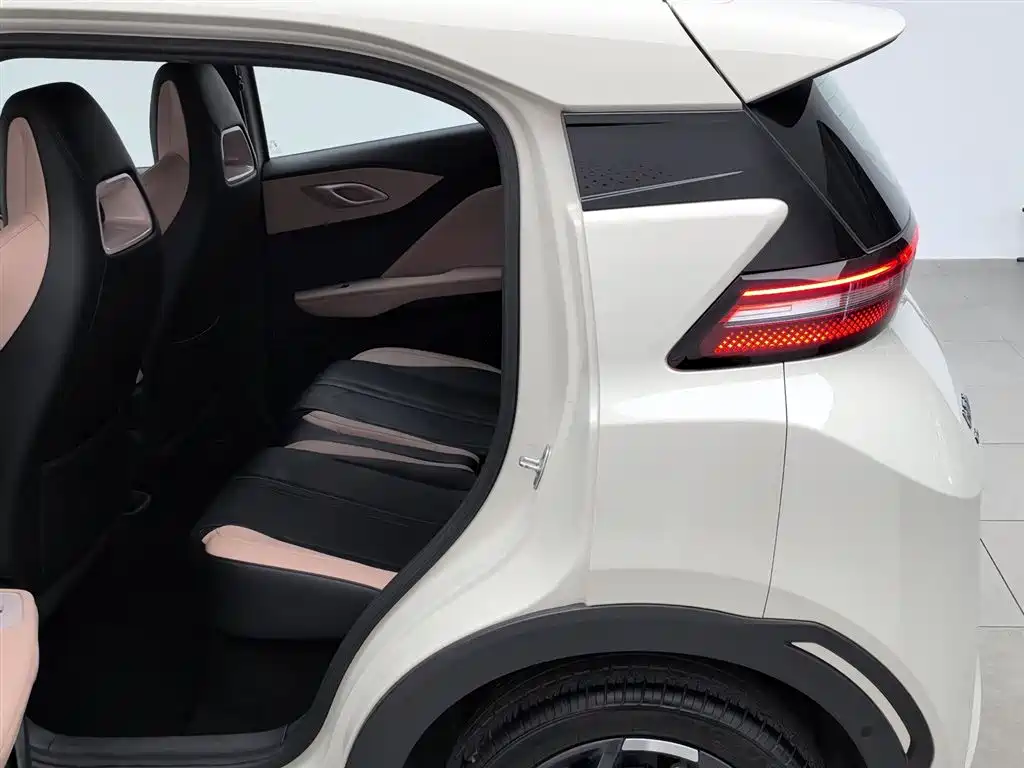 BYD Seagull 2025 Smart Drive Edition 305km Freedom Version фото 15