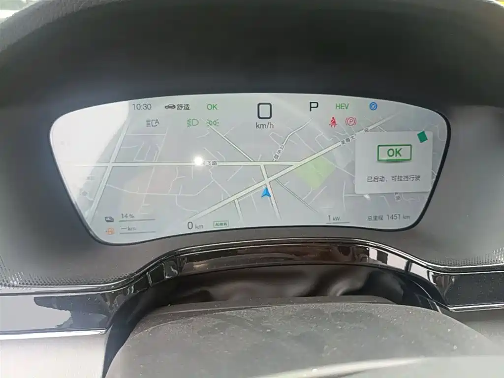 BYD Tang New Energy 2025 Smart Driving Edition DM-i 115KM Flagship фото 12