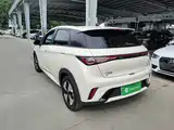 Фото 5 - BYD Dolphin