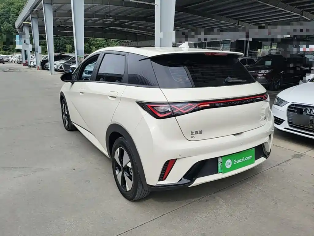 Фото 5 - BYD Dolphin