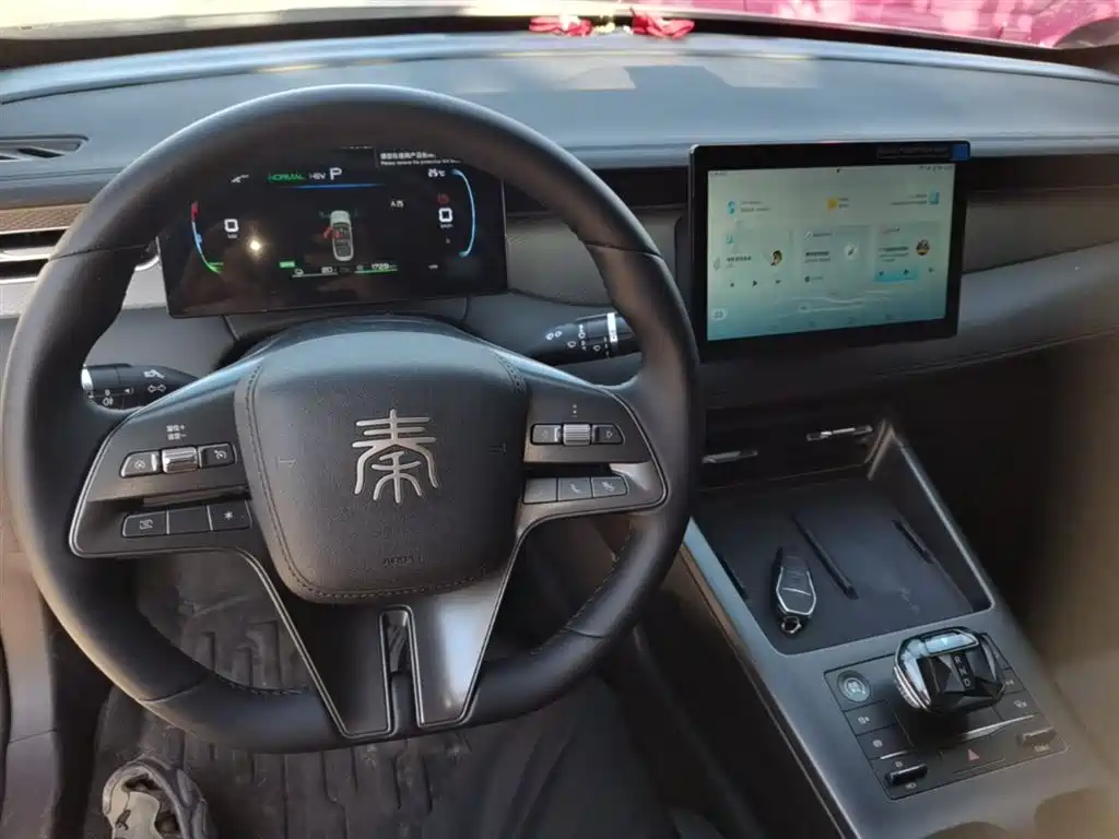BYD Qin PLUS 2025 DM-i Smart Drive 55KM Leader фото 10