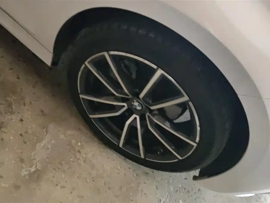 BMW 3 Series 2022 325Li M Sport Package фото 6