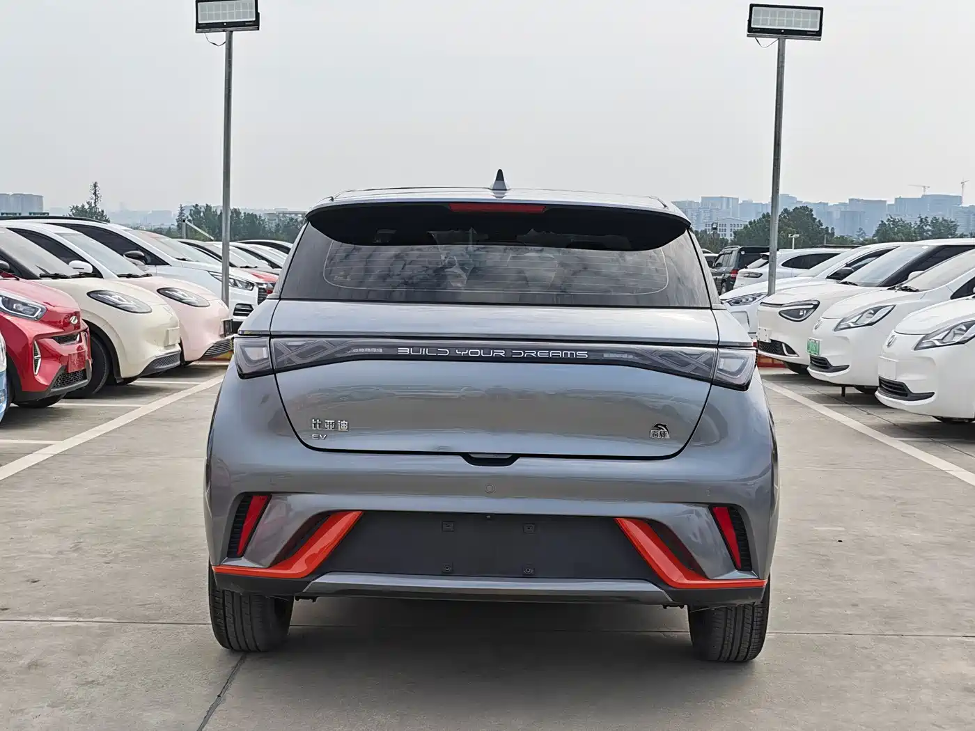 BYD Dolphin 2021 Model 405km Fashion Edition фото 6