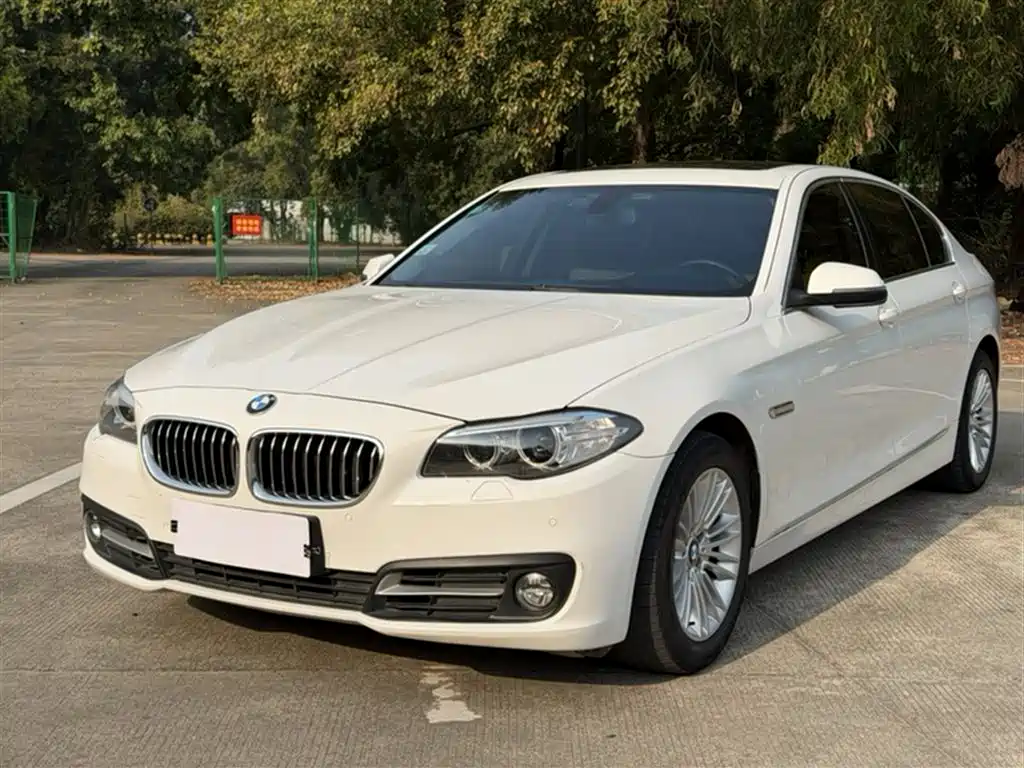 BMW 5 Series 2014 525Li Leading фото 22