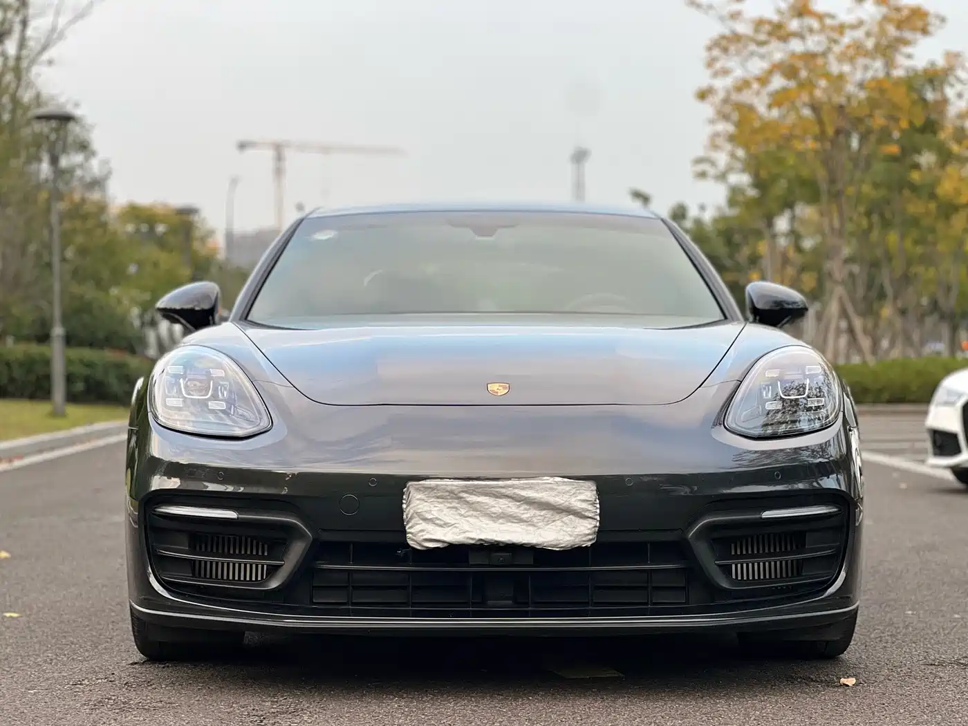 Porsche Panamera 2020 Panamera 10th Anniversary Edition 2.9T фото 2